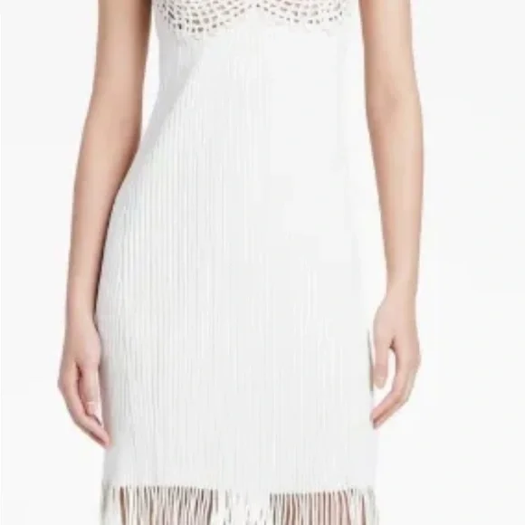 Brand New Proenza Schouler Embroidered Knit Dress Mini